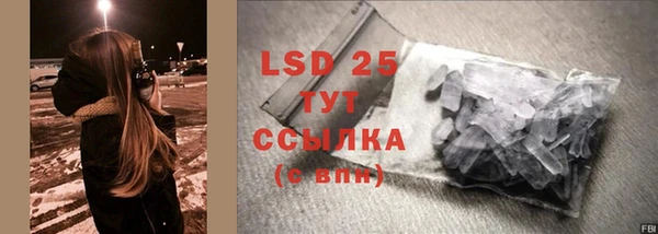 хмурый Белокуриха