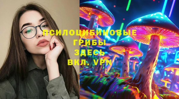 спайс Беломорск
