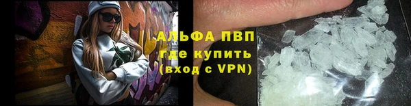 хмурый Белокуриха