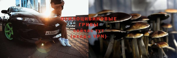 спайс Беломорск