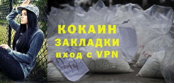 хмурый Белокуриха