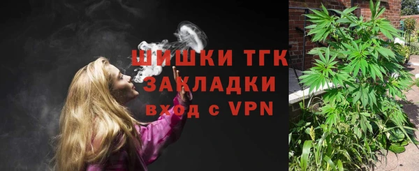 ешки Богданович