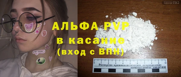 хмурый Белокуриха