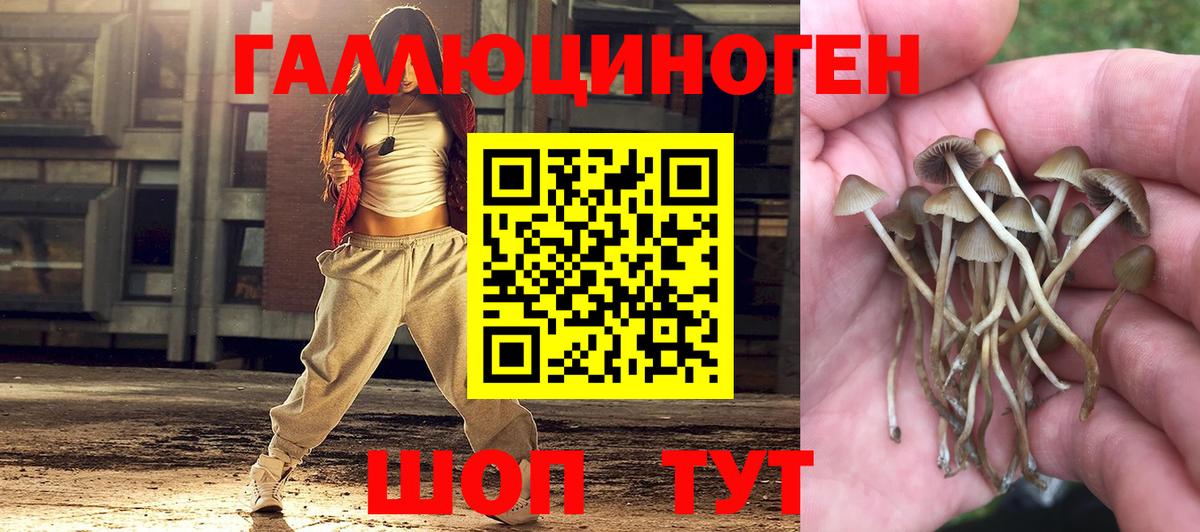 Галлюциногенные грибы прущие грибы Вязьма