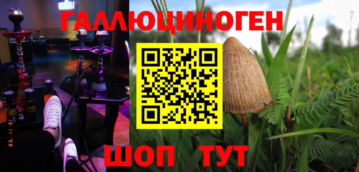Галлюциногенные грибы GOLDEN TEACHER  Вход с VPN  Вязьма 